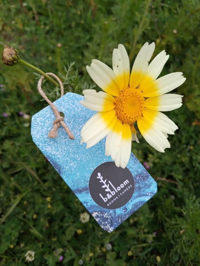 Bed & Breakfast Bandbloom *
